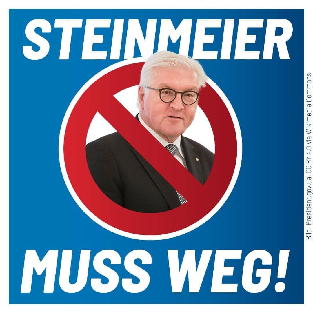 Steinmeier ist nicht unser Bundespräsident!