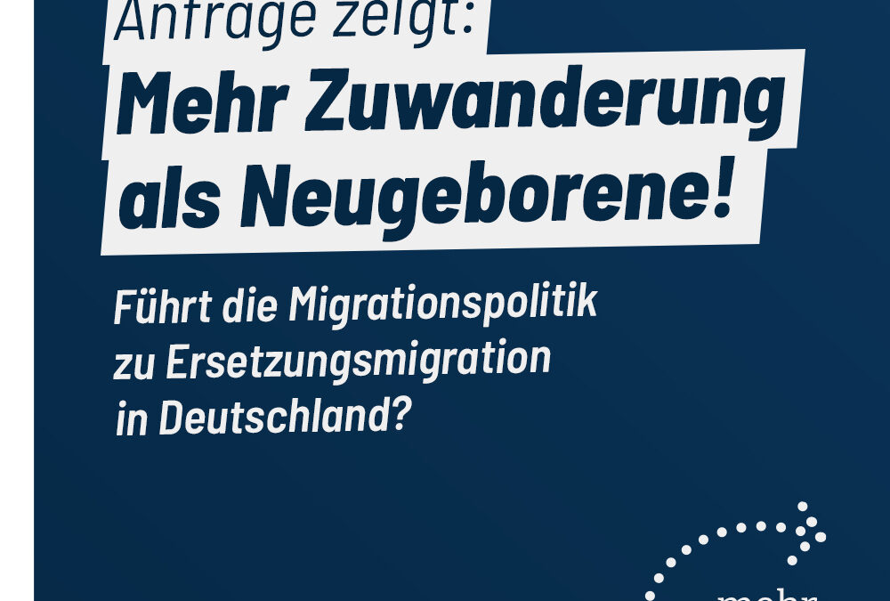 Ersetzungsmigration durch Zuwanderung?